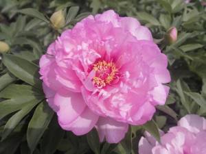 IMG_20250608_113930.jpg
