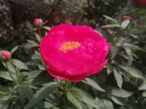 IMG_20250608_114015.jpg