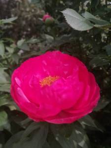 IMG_20250608_114041.jpg