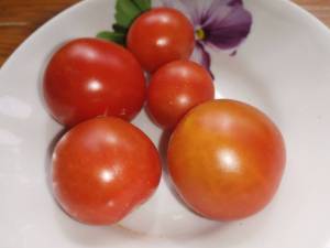 IMG_20250610_104656.thumb.jpg.89d593fa3968799e32dc75e2e6fbe96c.jpg