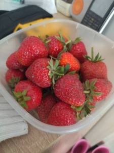 IMG_20250611_174907.thumb.jpg.6b5050537a75cb6378cb5c7f79c26b20.jpg