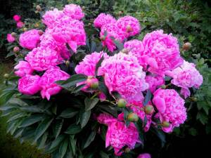 IMG_20250611_214704.jpg