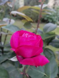 IMG_20250611_215111.jpg