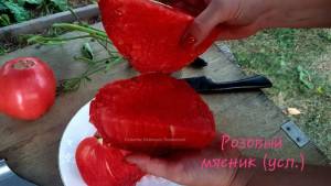 IMG_20250614_230658.thumb.jpg.673e0bb168cf5556c2d0df56249444f0.jpg