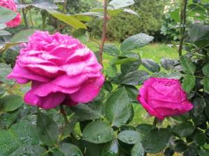 IMG_20250616_195607.jpg