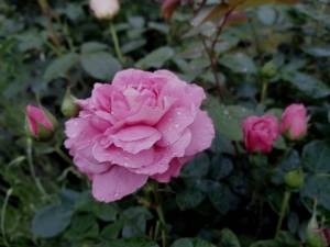 IMG_20250616_203328.jpg