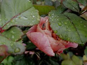 IMG_20250616_203422.jpg
