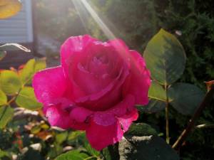 IMG_20250616_203639.jpg