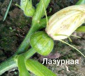 IMG_20250618_210428.jpg