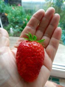 IMG_20250619_085812_100.jpg
