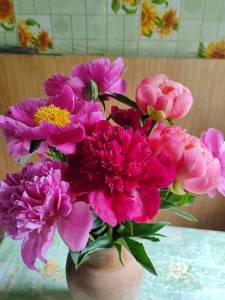 IMG_20250620_175109.jpg
