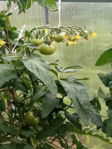IMG_20250620_183751.jpg