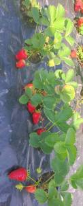 IMG_20250623_003213.jpg