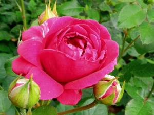 IMG_20250626_180023_600.jpg