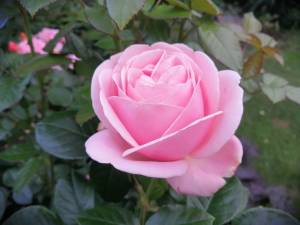 IMG_20250627_202353.jpg