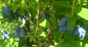 IMG_20250628_130154.jpg