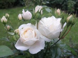 IMG_20250628_195421.jpg