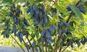 IMG_20250630_165128.jpg