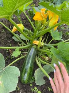IMG_3700.thumb.jpeg.7f4e446ac71de94ac770adf401800b2a.jpeg