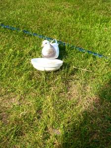 IMG_3893.jpeg