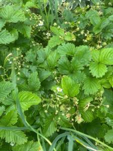 IMG_3984.jpeg
