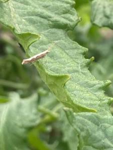 IMG_4003.jpeg