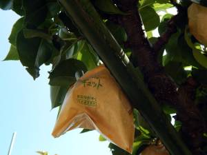 IMG_4035.jpeg