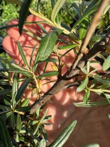 IMG_4382.jpeg