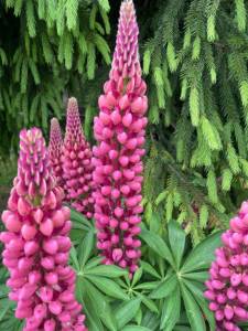 IMG_5120.jpeg