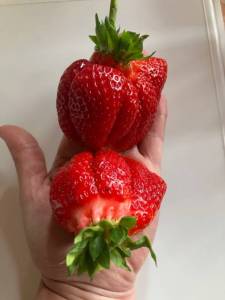 IMG_5164.jpeg