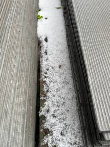 IMG_5759.thumb.jpeg.2a954a2fb4c682e150b3d1bbf14497d9.jpeg