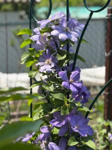 IMG_6560.jpeg