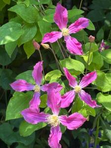 IMG_6564.jpeg