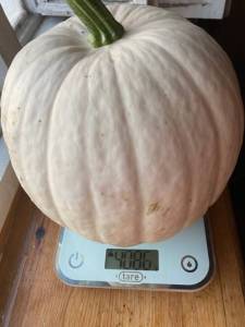 IMG_8471.thumb.jpeg.45a0ed76b546a7501a4cb969e3706a89.jpeg