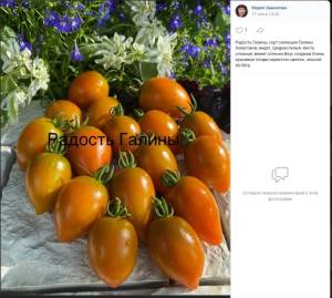 Screenshot_20241201_151722_Chrome.jpg
