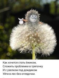 Screenshot_20250612_095915_VK.thumb.jpg.843b4359b76cbb8f20415f39f2f864e9.jpg