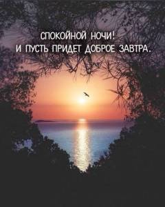 cc1b7df37d9e39e34fc4891dcb75171e.thumb.jpg.8a69cf908e5fc9a3159f96f746fa66d0.jpg