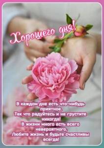 cf15a6c39a8e8f39c6df69e8c0d35262.jpg