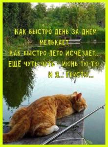 ef8509da31fb3a65276b73fdfe821c54.thumb.jpg.ad1b5a7eb2cae8237e372586dea8965e.jpg