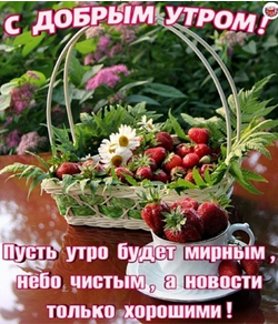 image.png.b5058172815a1b2630f84ca3633a8608.png