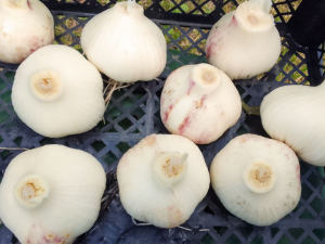 image.thumb.png.019762744e9d9f534fb7e8355f97df5d.png