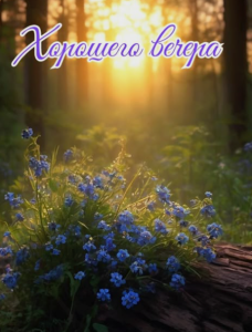image.thumb.png.16c5935ff287af8c53b2e007cb65c950.png