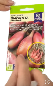 image.thumb.png.1c8fab3d4883305a04d2594be232d6f5.png