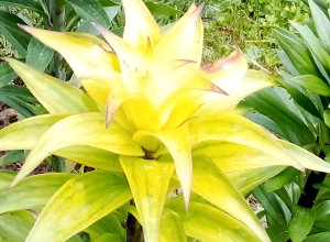 image.thumb.png.4094070aacbfef1709c2b3757aa8af95.png
