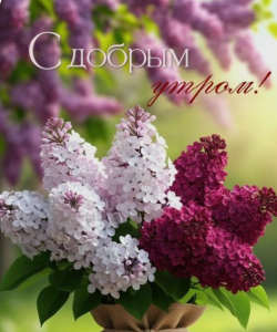 image.thumb.png.472c84ee8e197fdbef6b9c9e2d6a5652.png