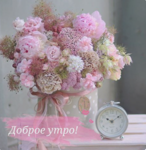 image.thumb.png.56ad77180166dcb767a6f788c1db10c3.png