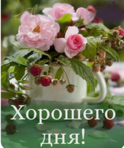 image.thumb.png.575e6fa7d438ee8e309052e6a669fb1e.png