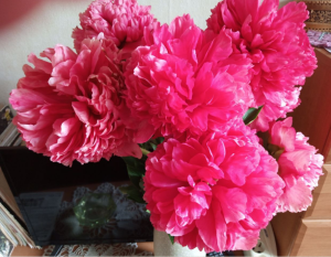 image.thumb.png.6a0b783eebfd900e288bda4d665ea2d3.png