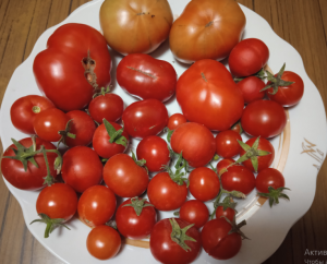 image.thumb.png.802e1ff04f06f4c4292931b32e43bec7.png