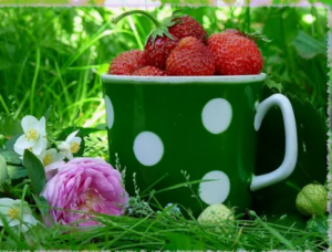 image.thumb.png.f62b7b491b71f6dbfc740bde6ad945ed.png